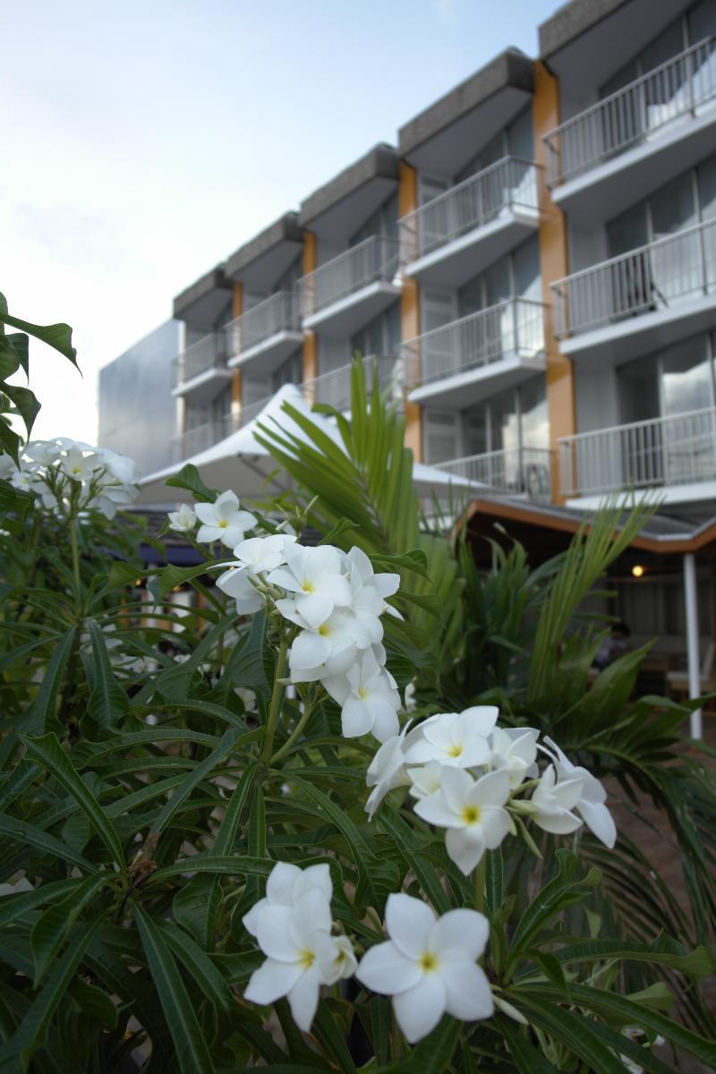 Hotel Krasnapolsky Paramaribo Exteriér fotografie